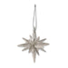 2.5-Inch Silver Glittered 9-Point Star Ornament