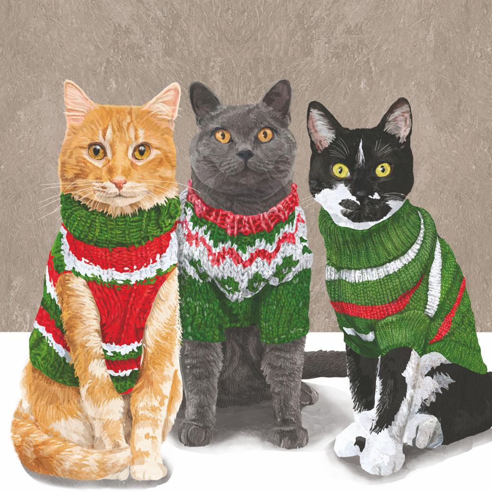 PPD Bev - Sweater Cats