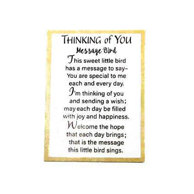  message that says  - You are special to me each and every day. I'm thinking of you and sending a wish; may each day be filled with joy and happiness.