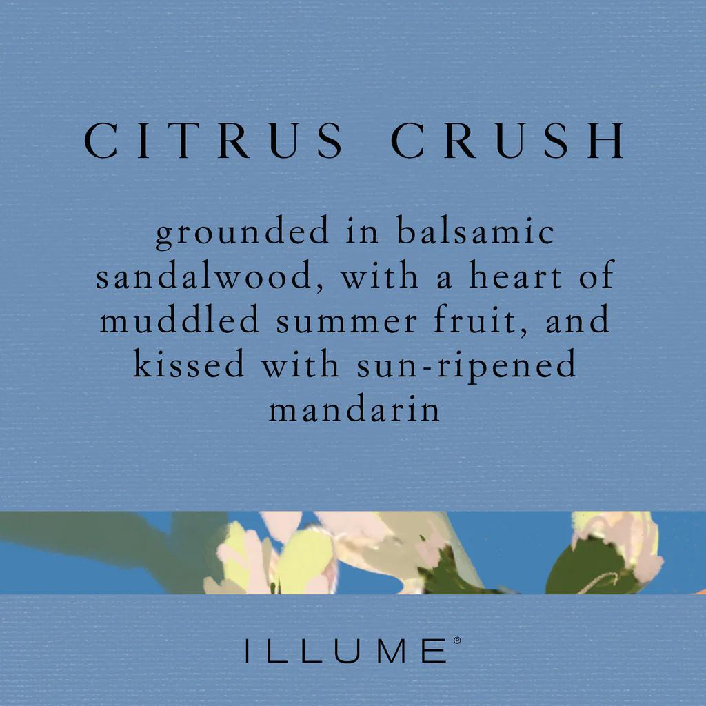 Citrus Crush Demi Vanity Tin Candle – Scent Profile