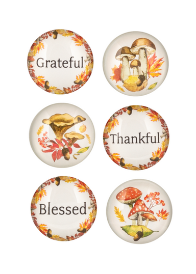 Fall Foliage & Mushroom Magnet Set – 6 Harvest-Themed Magnets