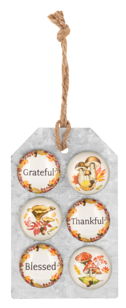 Fall Foliage & Mushroom Magnet Set – 6 Harvest-Themed Magnets