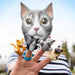 Finger Cats – Mischievous Vinyl Finger Puppets