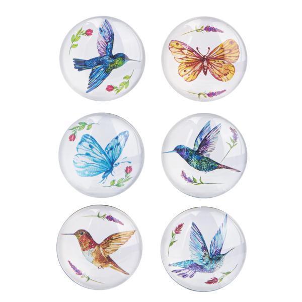 Hummingbird & Butterfly Magnet Set - Beautiful 6-Piece Collection