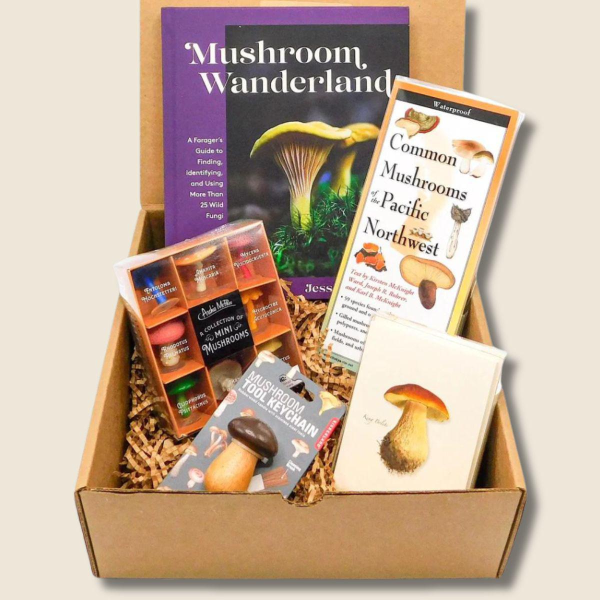 "Mushroom Wanderland" Treasure Gift Box