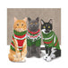 Sweater Cats Beverage Napkins