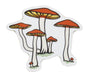 Mushroom Cluster - Sticker 1350 - Port Gamble General Store & Cafe