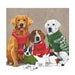 dogs with sweaters napkins