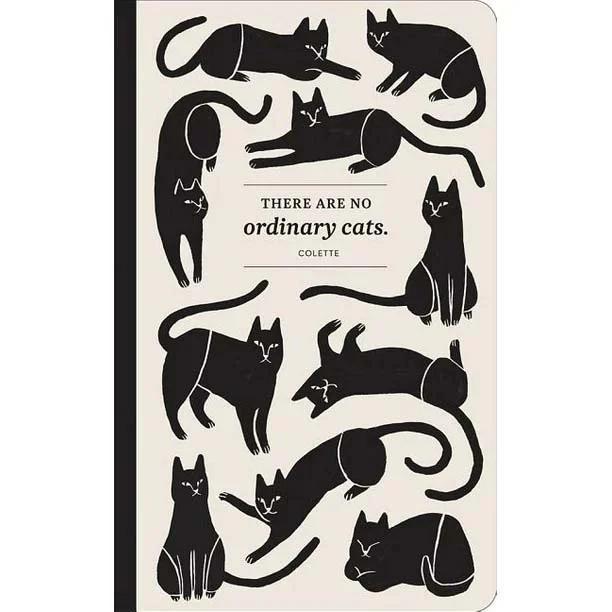 there are no ordinary cats jurnal