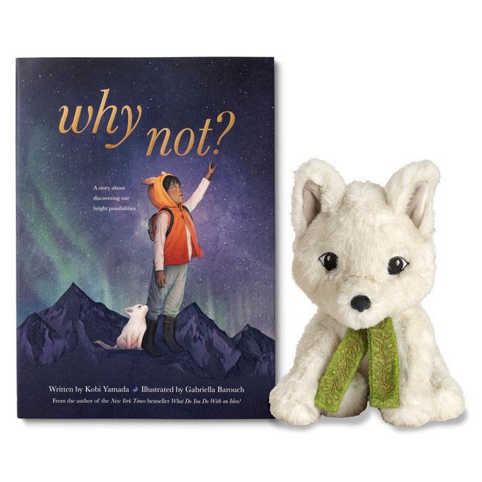 why not ? childrens book and plush