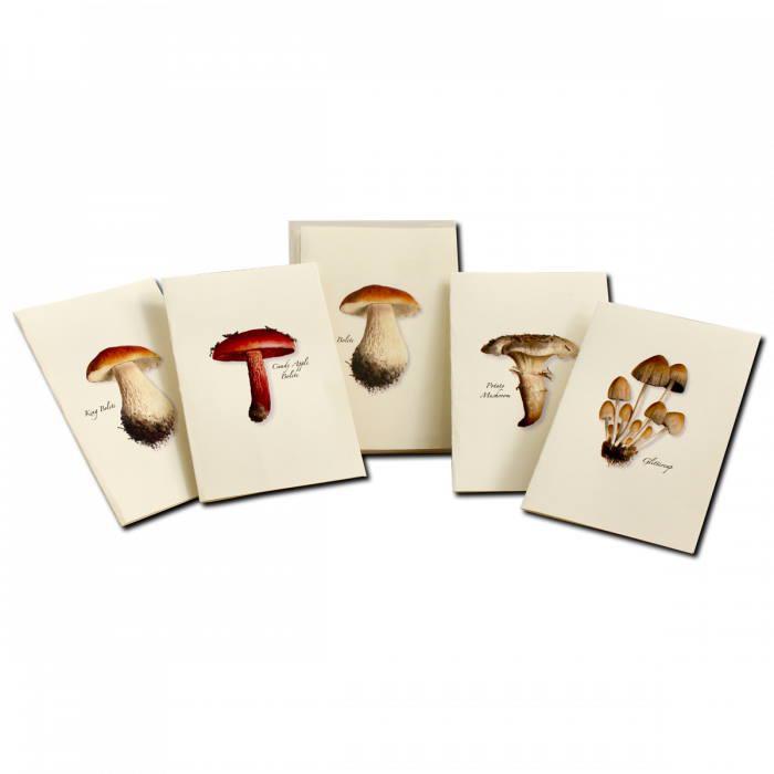 Magic Mushrooms Treasure Gift Box: Unleash Your Whimsical Side — Port  Gamble General Store & Cafe