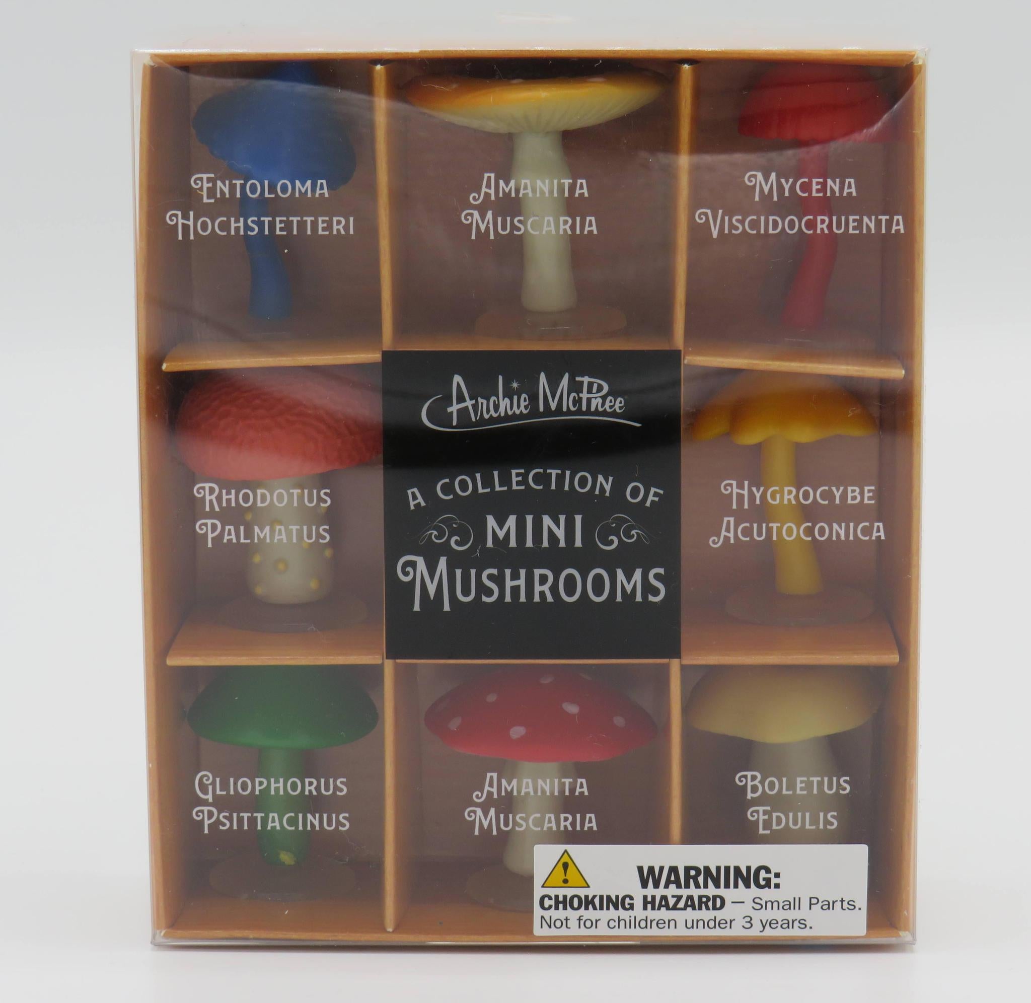 Magic Mushrooms Treasure Gift Box: Unleash Your Whimsical Side