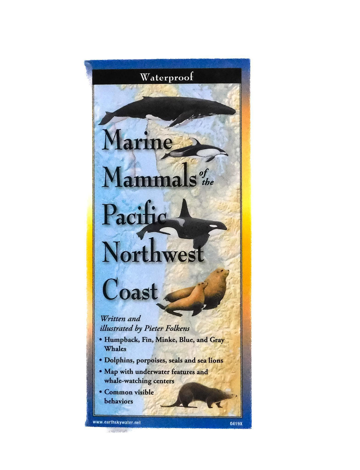 "Sibley's Marine Mammals of PNW Coast Guide Illustrated Waterproof